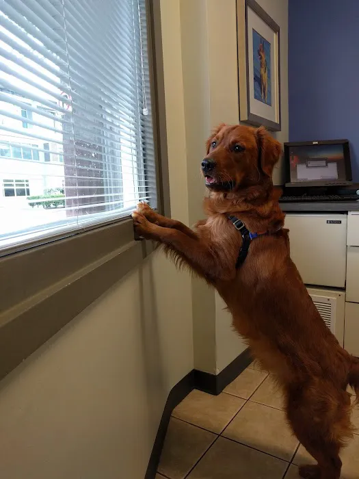 Eastlake Veterinary Hospital 12