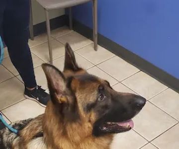 Eastlake Veterinary Hospital