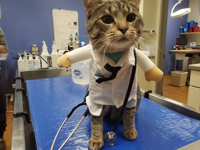 Eastlake Veterinary Hospital 12