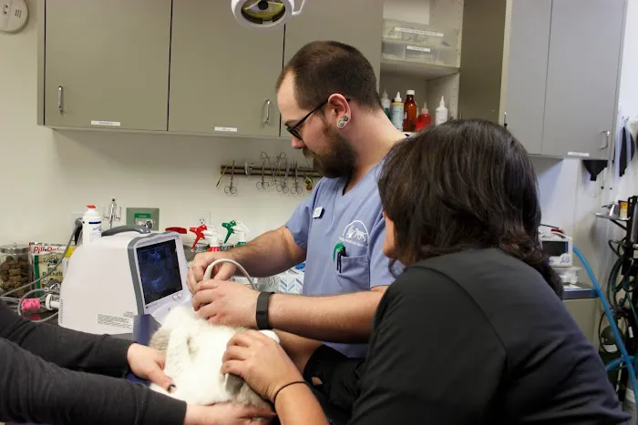 Queen Anne Animal Clinic 12