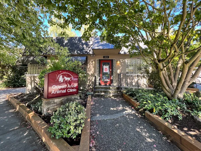 Queen Anne Animal Clinic 12