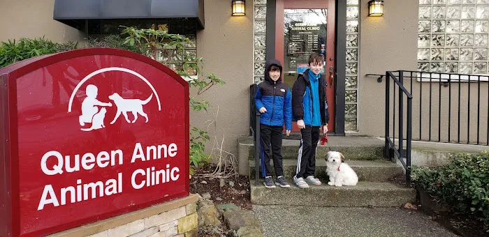 Queen Anne Animal Clinic 12