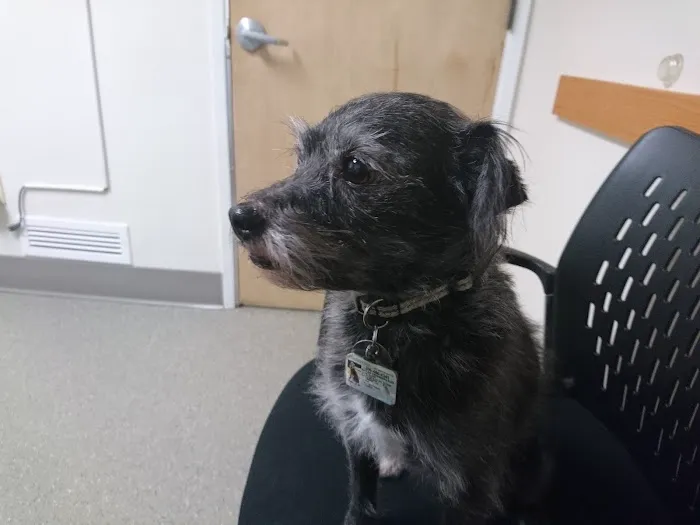 Queen Anne Animal Clinic 12