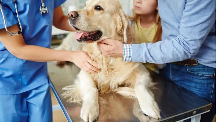 Madison Street Animal Hospital 12