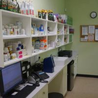 Madison Street Animal Hospital ico