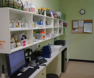 Madison Street Animal Hospital