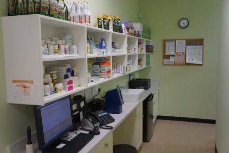 Madison Street Animal Hospital