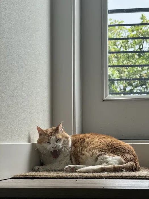 Madison Street Animal Hospital 12