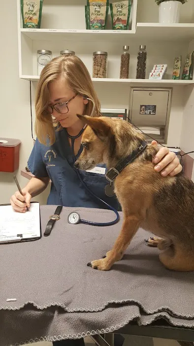 Broadway Veterinary Hospital 12