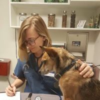 Broadway Veterinary Hospital ico