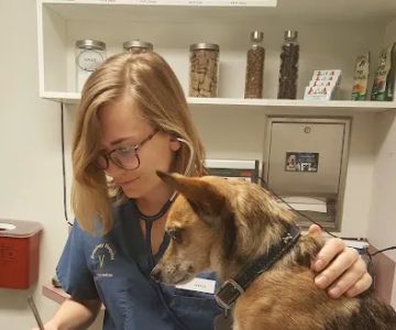 Broadway Veterinary Hospital