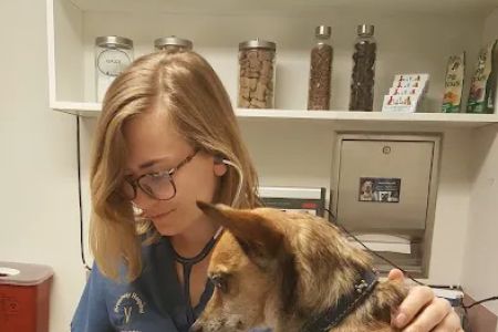Broadway Veterinary Hospital