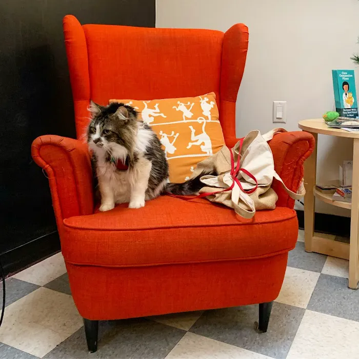 Broadway Veterinary Hospital 12