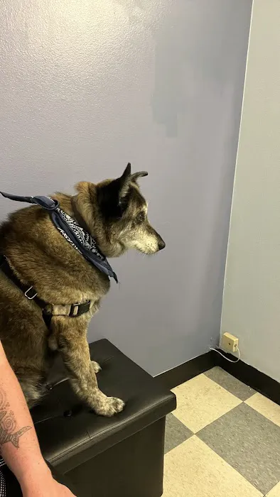 Broadway Veterinary Hospital 12
