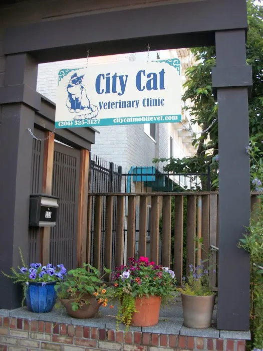 City Cat Vet Clinic 12