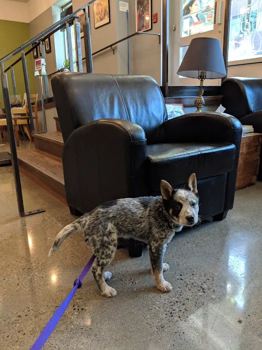 Jet City Animal Clinic 12