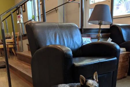 Jet City Animal Clinic