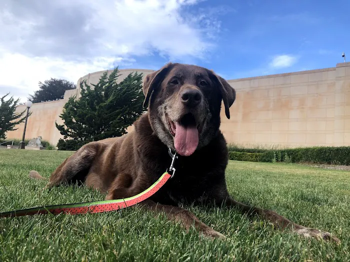 Banfield Pet Hospital 12