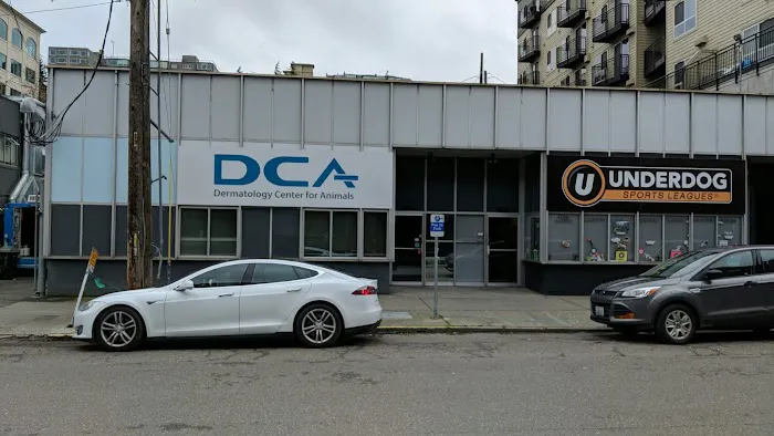 Dermatology Center for Animals 12