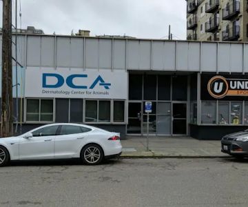 Dermatology Center for Animals
