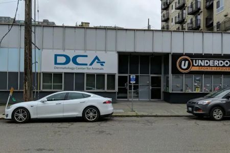 Dermatology Center for Animals