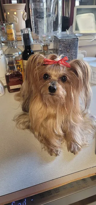 Mercy Animal Hospital 6