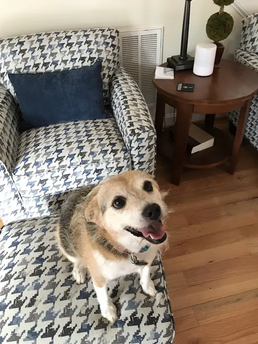 Mercy Animal Hospital 8