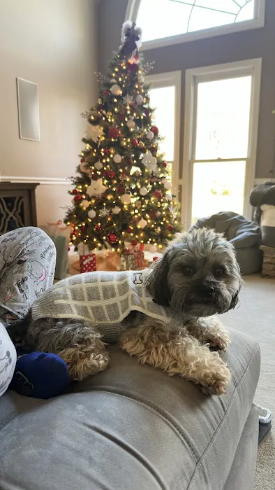 Mercy Animal Hospital 7