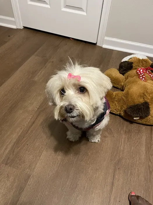 Mercy Animal Hospital 9