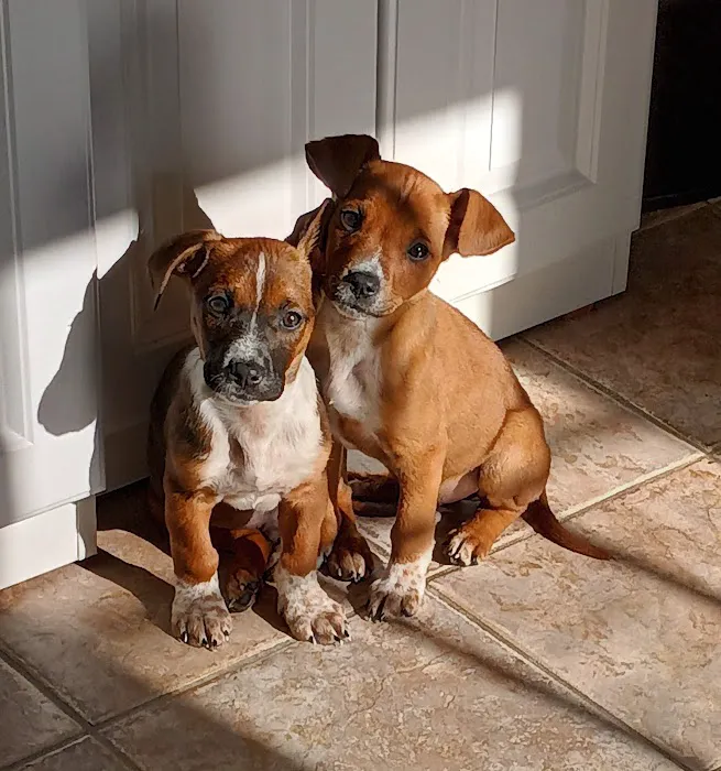 Mercy Animal Hospital 5