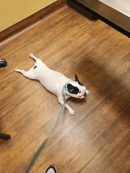 Mercy Animal Hospital 3