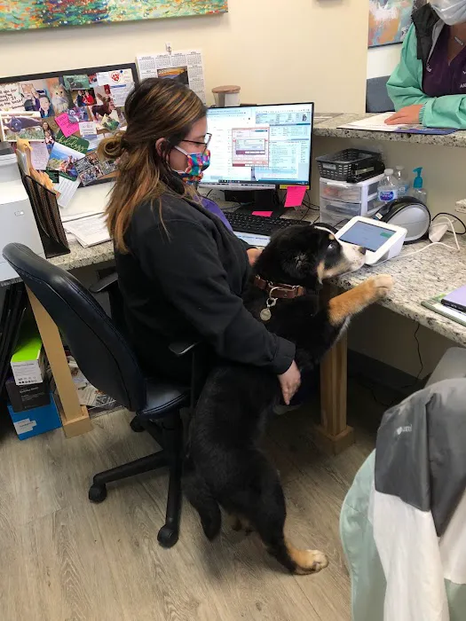 Lake Park Animal Clinic 7