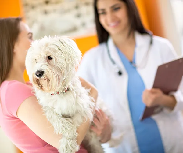 Lake Park Animal Clinic 6