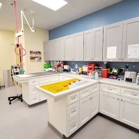 Lake Park Animal Clinic ico