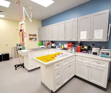 Lake Park Animal Clinic