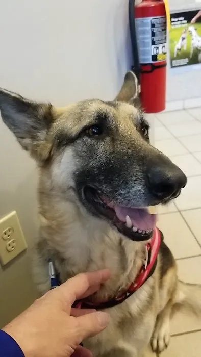 Sun Valley Animal Hospital 6