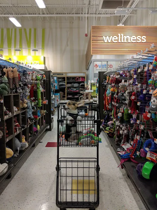 Petco 2
