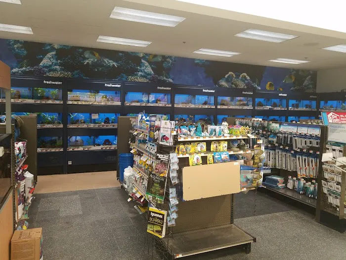 Petco 10