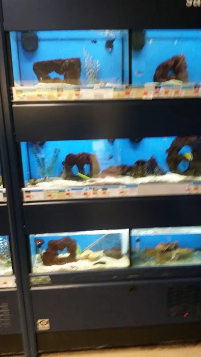 Petco 4