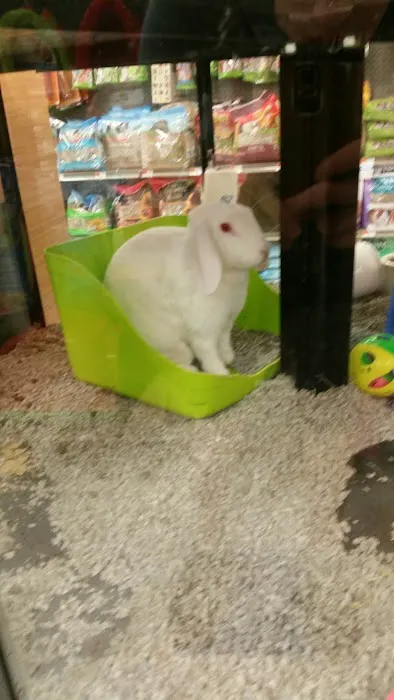 Petco 5