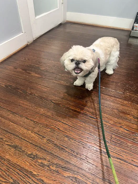 Midtown Veterinary Hospital 12