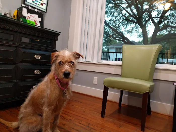 Midtown Veterinary Hospital 12