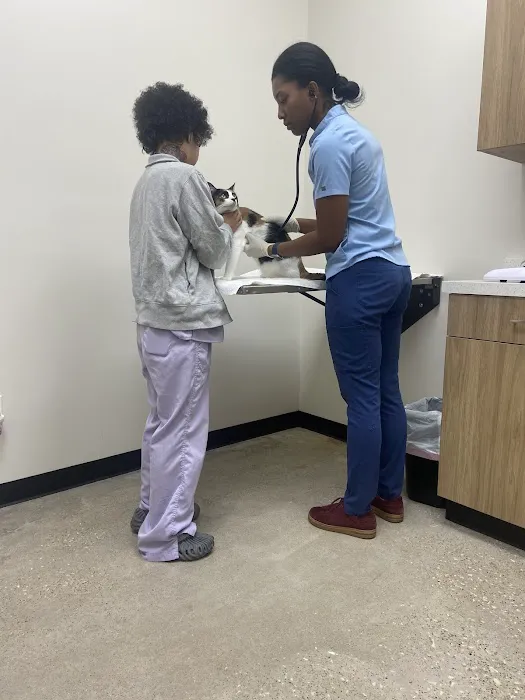 CAWLM Veterinary Hospital + Spa 12