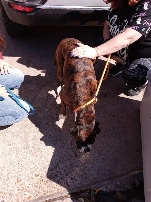 West Alabama Animal Clinic 12