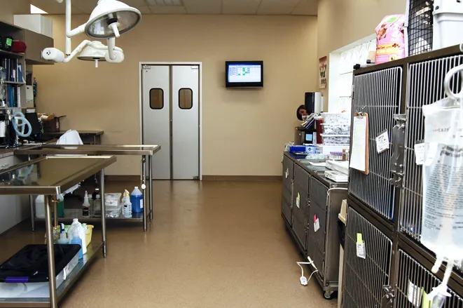 West Alabama Animal Clinic 12