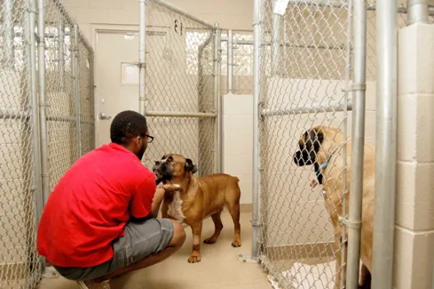 West Alabama Animal Clinic 12