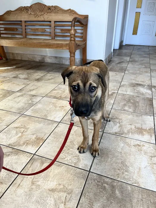 West Alabama Animal Clinic 12