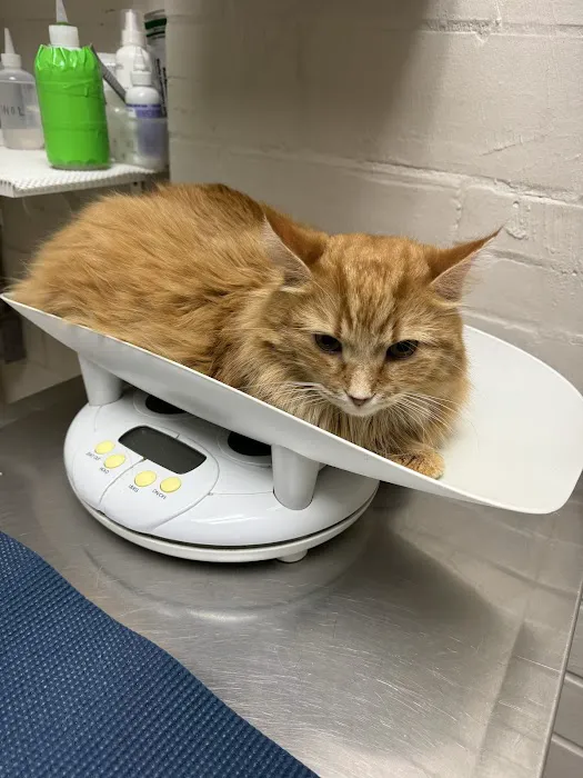 West Alabama Animal Clinic 12