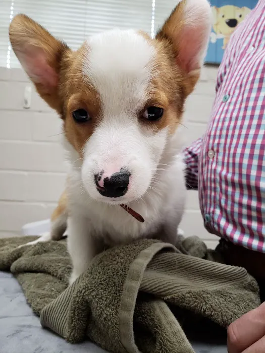 West Alabama Animal Clinic 12