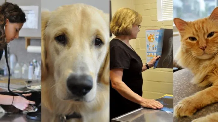 West Alabama Animal Clinic 12